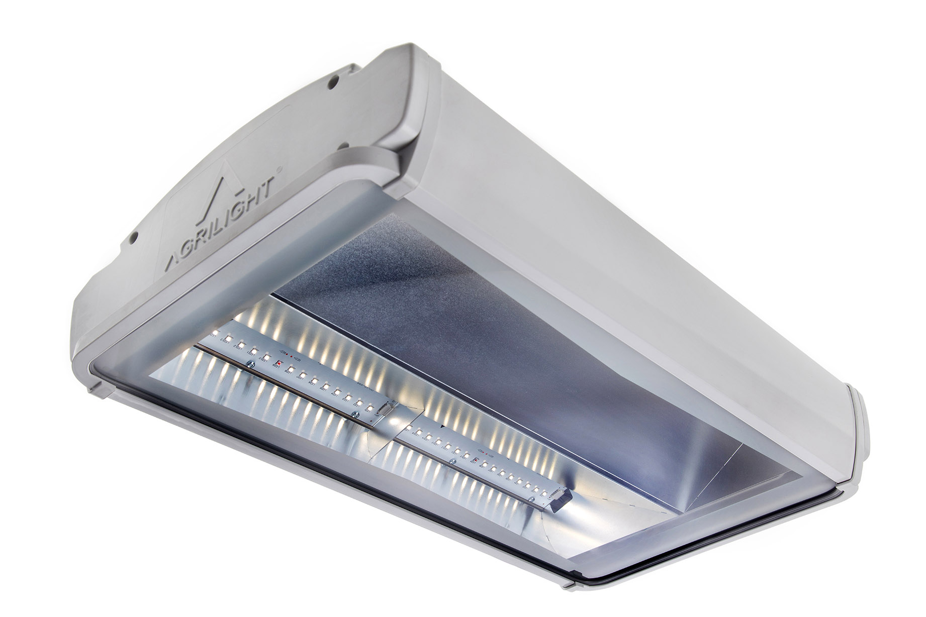 AGRILED pro LED stalverlichting koeien varkens paarden LED barn lighting dairy cows horses pigs sows LED Stallbeleuchtung Rindvieh LED d’éclairage bovin Équin Caprin Porcins